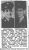 Joseph and Ernest Triffo Visit